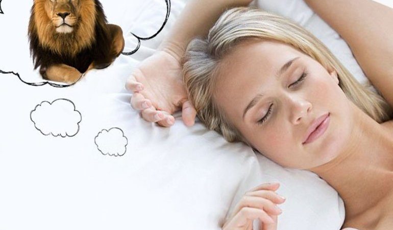 До чого може приснитися левиця жінці чи чоловікові: трактування по сонникам