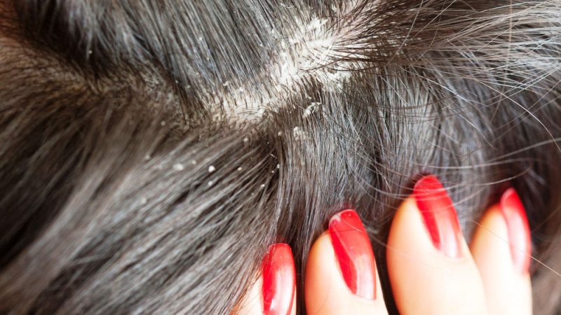 До чого може приснитися лупа, про що скаже сонник