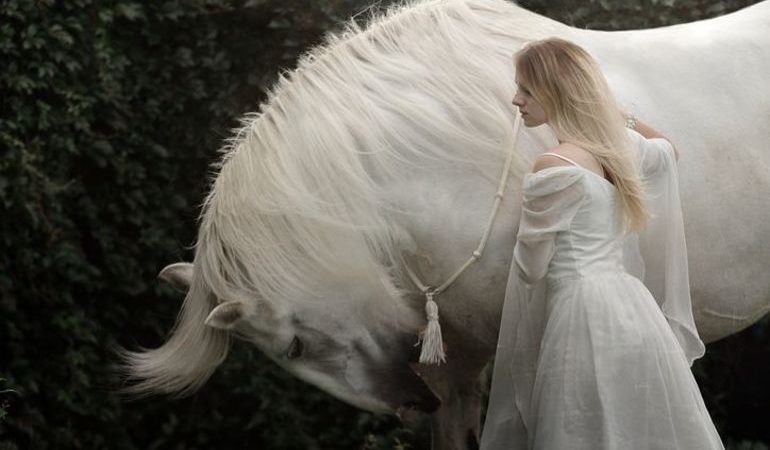 До чого сниться білий кінь: купати, годувати і скакати на ньому, тлумачення для чоловіків і жінок