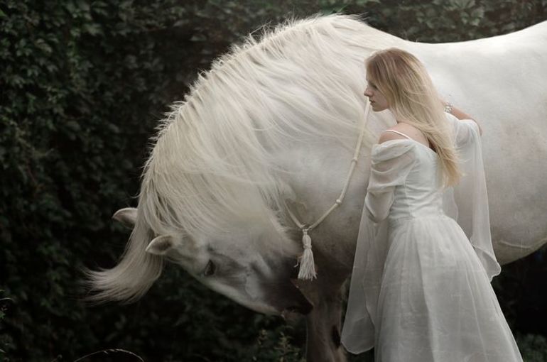 До чого сниться білий кінь: купати, годувати і скакати на ній, тлумачення по сонникам для чоловіків і жінок