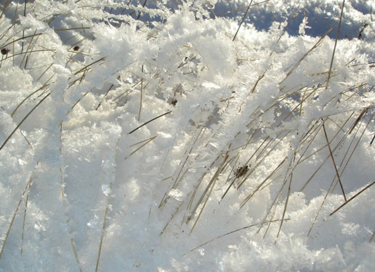 До чого сниться багато снігу: тлумачення сновидіння популярними сониками, що означає сніговий замет влітку