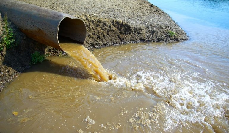 До чого сниться брудна вода: в басейні, озері, морі, значення сну за різними сонникам