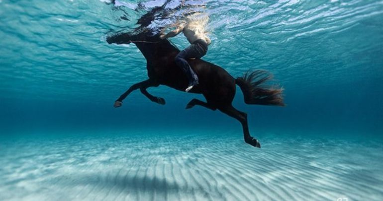 До чого сниться чорна кінь: тлумачення снів по сонникам, інтерпретація для чоловіків і жінок