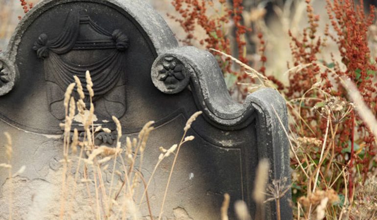 До чого сниться цвинтарі й могили: що означає гуляти біля надгробків, побачити свій гроб і могили родичів