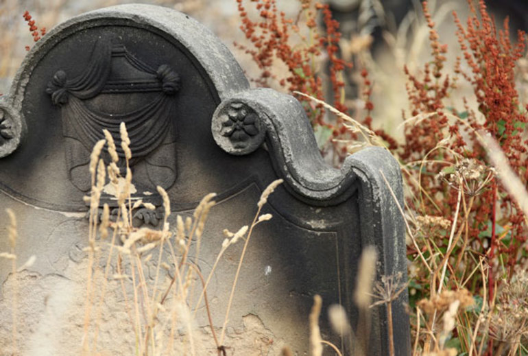 До чого сниться цвинтарі й могили: що означає гуляти біля надгробків, побачити свій гроб і могили родичів