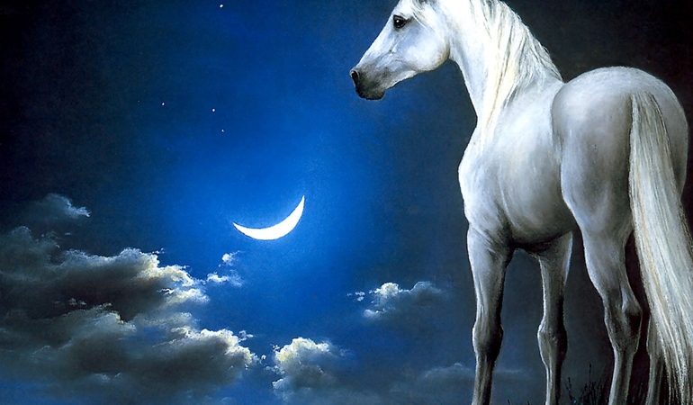 До чого сниться єдиноріг: білий, чорний і інші тлумачення по сонникам