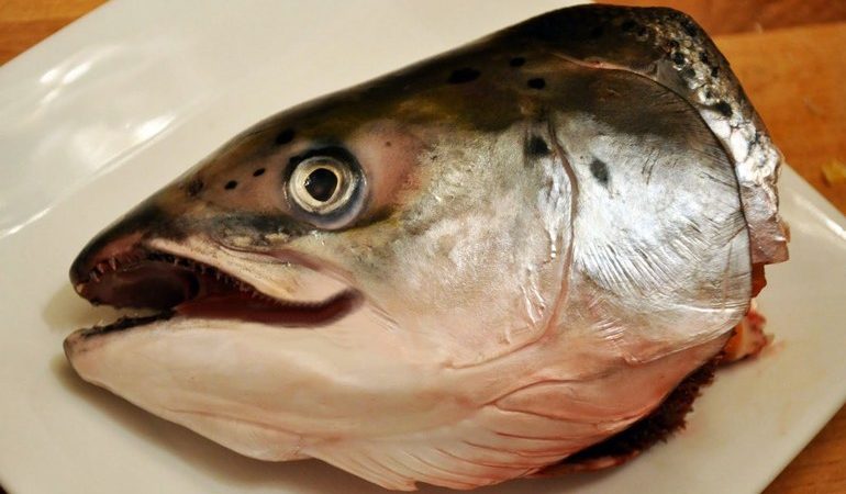 До чого сниться голова риби: значення сонники для чоловіка і жінки