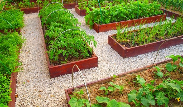 До чого сниться город: зелень, трава та бур’яни, лопати і грядки