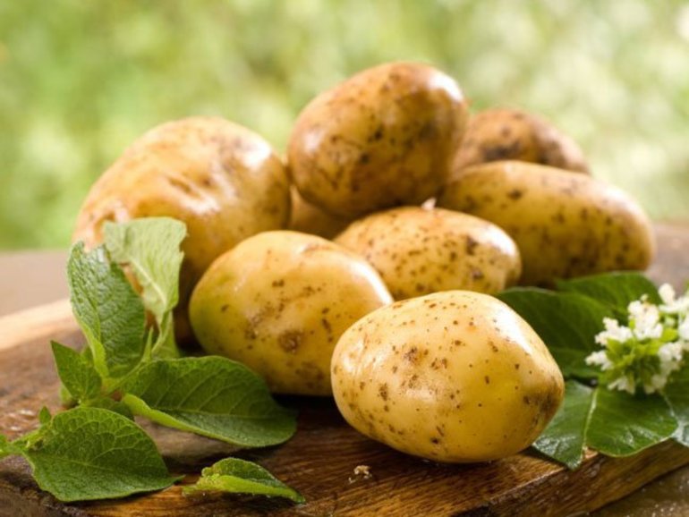 До чого сниться картопля: значення по соннику, тлумачення сну для чоловіків і жінок, характеристика бульб