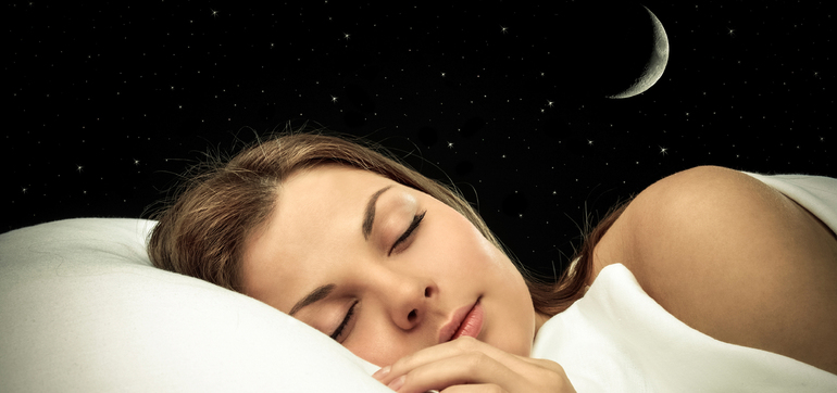 До чого сниться кенгуру: тлумачення сну для жінок і чоловіків по сонникам Міллера, Фрейда та інших джерел