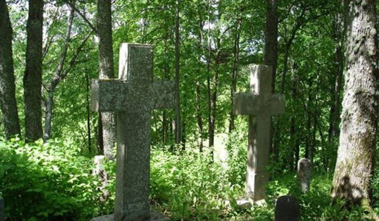 До чого сниться кладовищі: значення прогулянок серед могил по сонникам