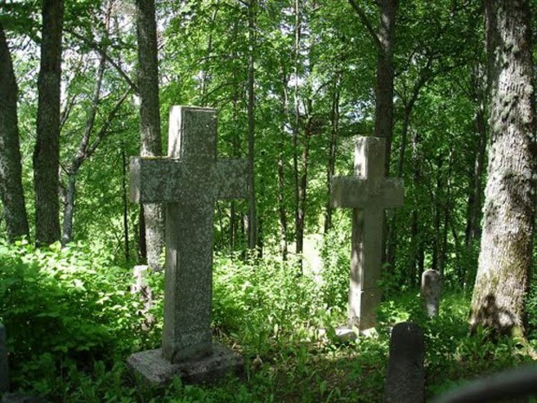 До чого сниться кладовищі: значення прогулянок серед могил по сонникам