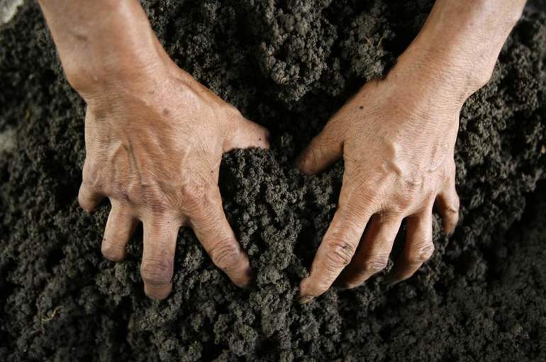 До чого сниться копати землю: тлумачення рити або колупатися в грунті по сонникам різних езотериків