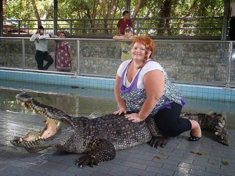 До чого сниться крокодил: напад або годування з рук в сні, що означає білий алігатор для дівчини,