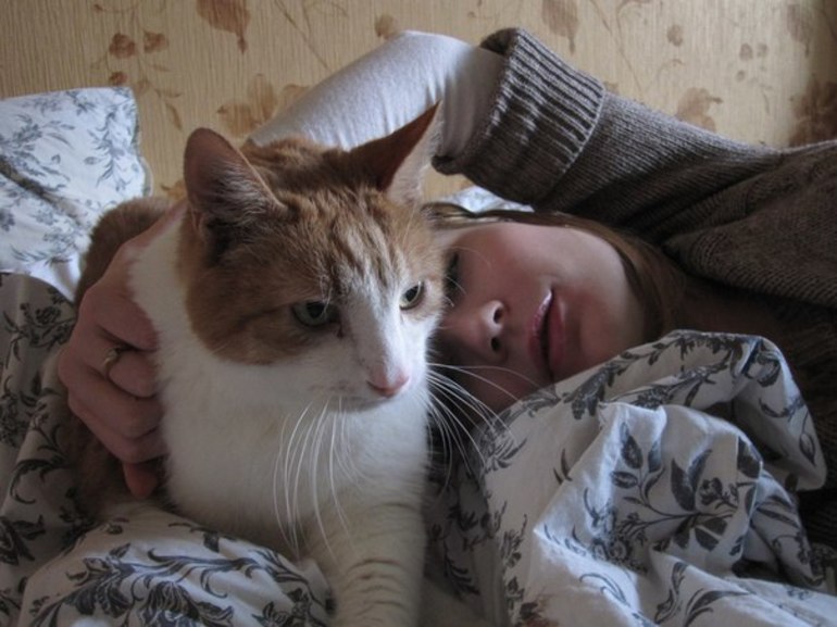 До чого сниться ласкава кішка: зовнішній вигляд тварини, тлумачення для жінки, поведінка кота по соннику