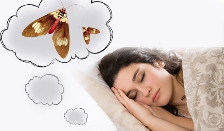 До чого сниться моль чоловікові і жінці: бачити або вбивати комах у сні