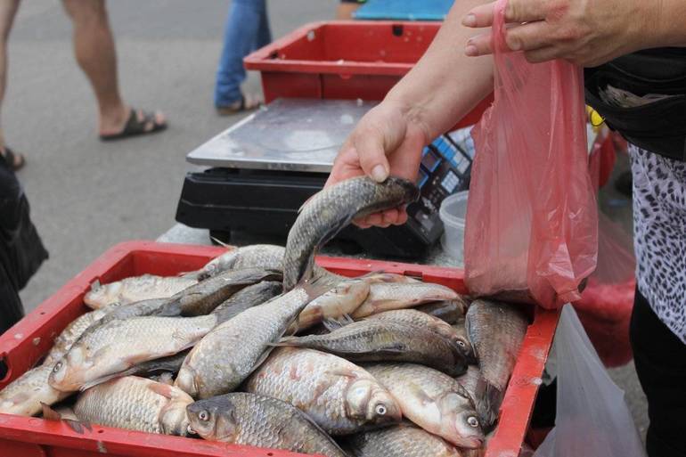 До чого сниться продавати рибу: версії різних сонників і думки фахівців