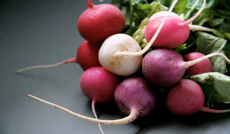 До чого сниться редиска: вирощувати на грядці, купувати пучки і з’їдати або бачити багато великих коренеплодів
