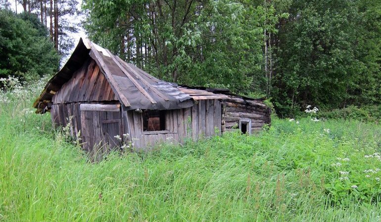 До чого сниться сарай: з тваринами, будувати або зводити споруду і тлумачення по сонникам
