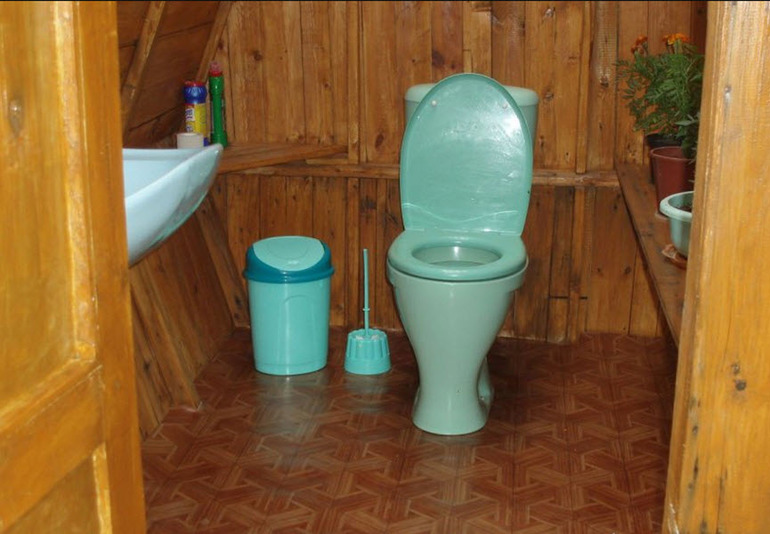 До чого сниться туалет: сходити в старий брудний сільський сортир