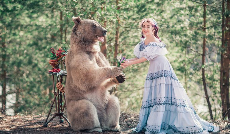 До чого сниться ведмідь: тлумачення сонників для жінок і чоловіків, образ тварини і дії