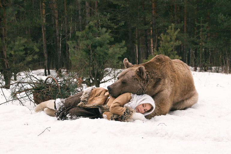 До чого сниться ведмідь: тлумачення сонників для жінок і чоловіків, образ тварини і дії