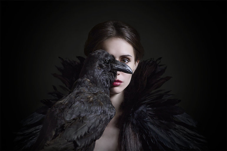До чого сниться ворона: основне значення по соннику, що означає дохла чи жива, чи багато, чи мало птахів у сні