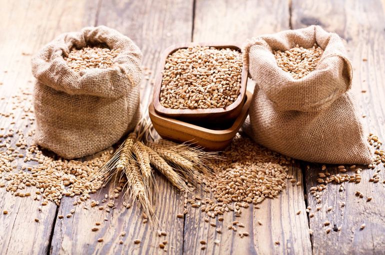 До чого сниться зерно: значення сну, в якому приснилася пшениця чи інші злаки в мішку або розсипом