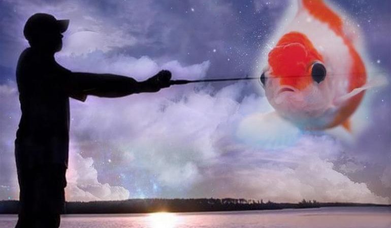 До чого сниться жива риба: значення плаваючої в чистій воді рибки, дівчата і чоловіки