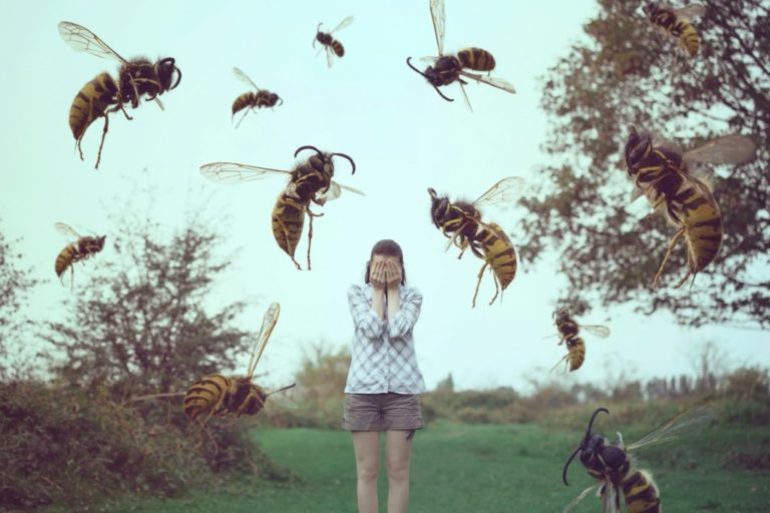 До чого сняться бджоли: тлумачення сонників, що означає бджолиний укус уві сні