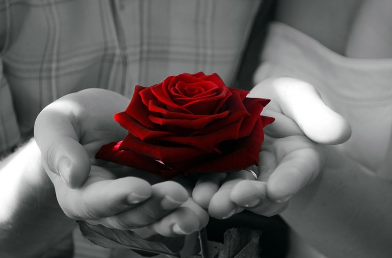 До чого сняться червоні троянди: тлумачення по сонникам, значення бачень для жінок і чоловіків