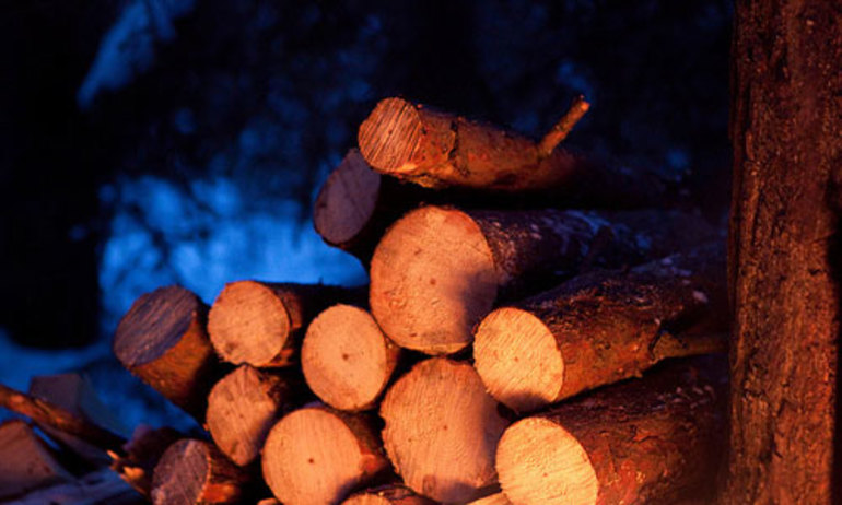 До чого сняться дрова: значення по сонникам, що означає пиляти колоди або складати стіс