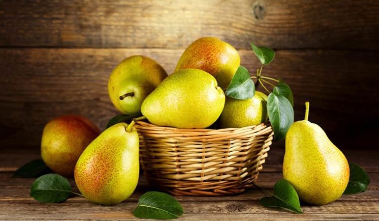 До чого сняться груші: тлумачення сонників для жінок і чоловіків, значення стиглих і гнилих плодів