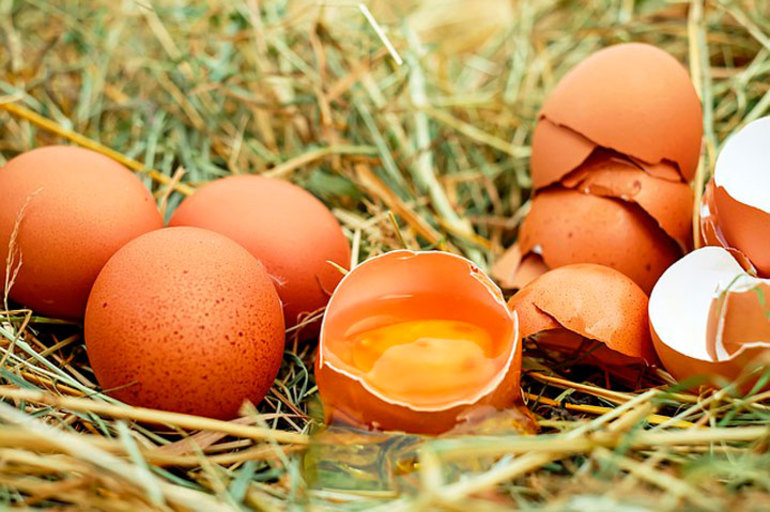 До чого сняться розбиті яйця: бачити в сні сирі курячі продукти, тлумачення різних сонників