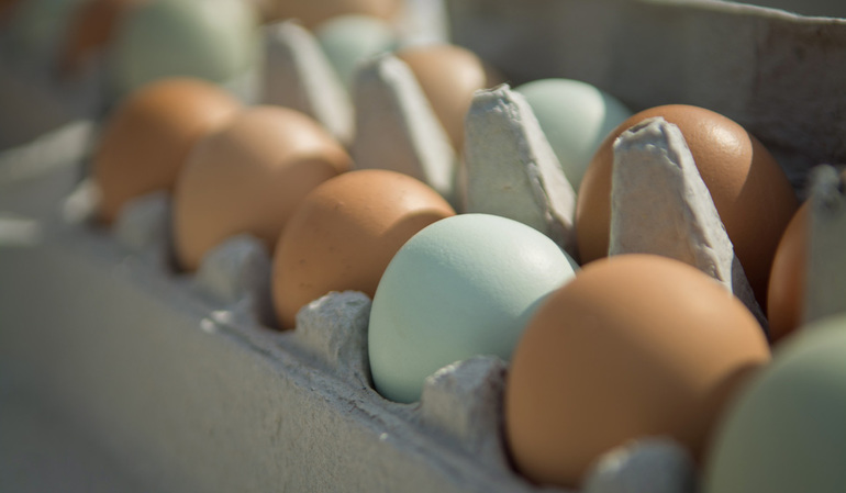 До чого сняться розбиті яйця: бачити в сні сирі курячі продукти, тлумачення різних сонників