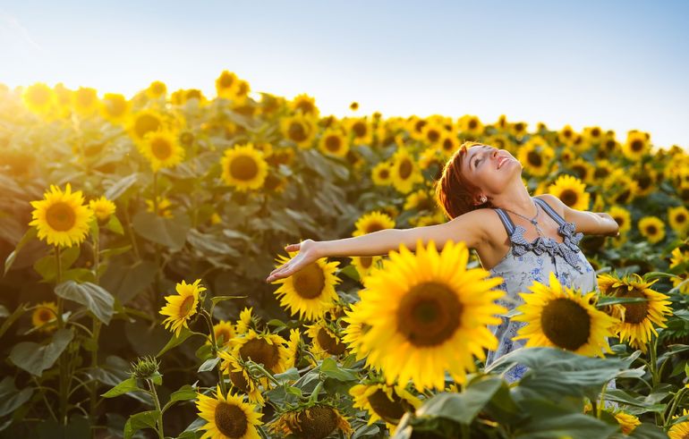 До чого сняться соняшники: тлумачення сновидіння з квітучими або сухими квітами, різні сонники