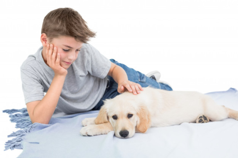 Гладити собаку у сні: значення по соннику в залежності від характеру, до чого сниться доросле тварина і щеня