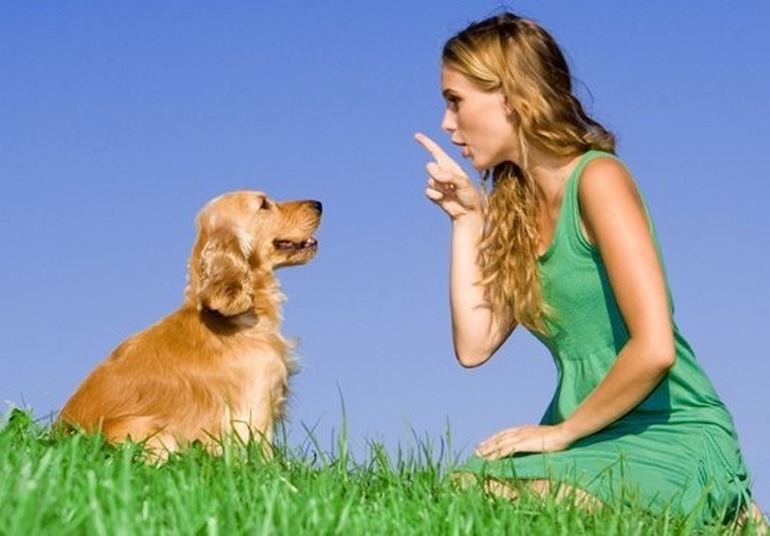 Говорить собака по соннику: до чого сниться розмовляти з нею, що означає сон, який приснився жінці