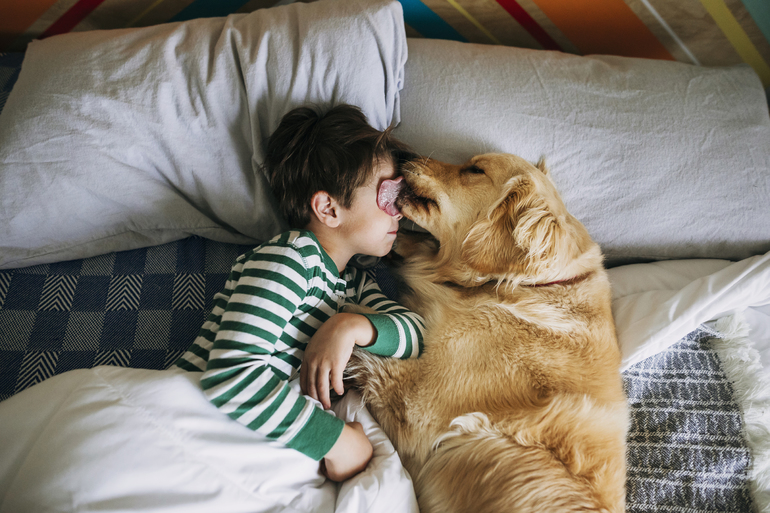 Грати з собакою у сні: варіанти тлумачення за авторитетним джерелам