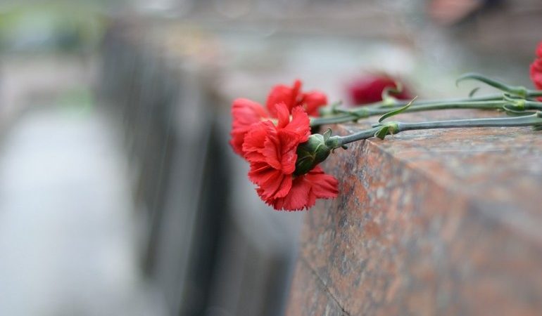 Гвоздики: до чого сняться, що віщують нічні мрії з квітами, розшифровка бачень по сонникам