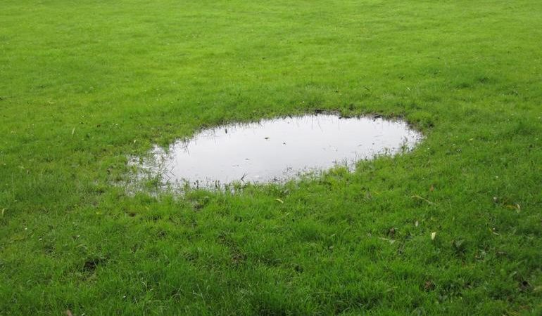 Калюжа: тлумачення за сонником, наснилося у сні, що означає