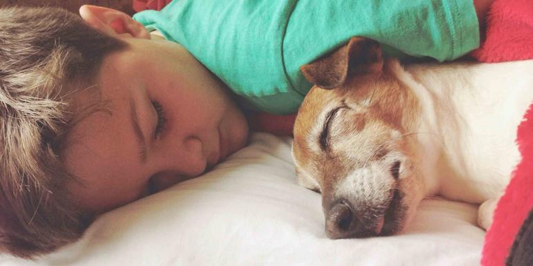 Обіймати собаку у сні: до чого сниться таке сновидіння і що означає для людини