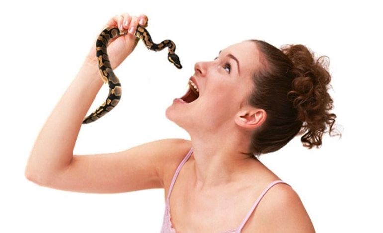 Є і проковтнути змію у сні: тлумачення по сонникам, значення бачення для жінки