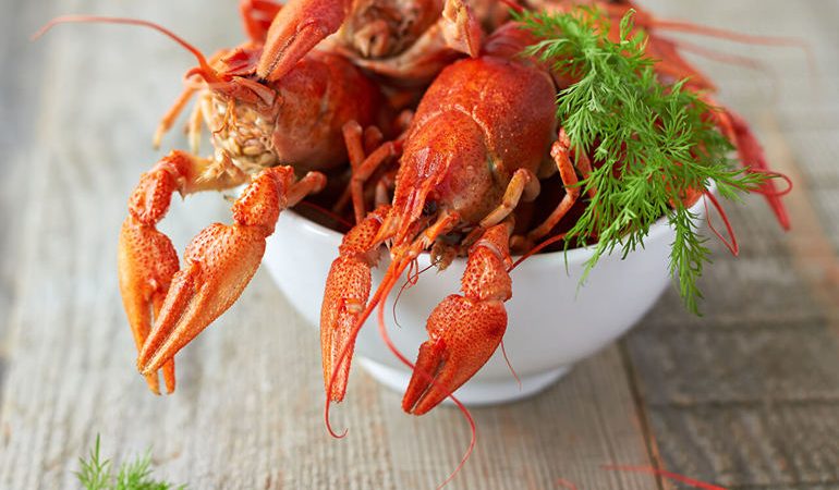 Розшифровка сну, до чого сняться раки: живий і мертвий, маленький і великий, чорний і червоний