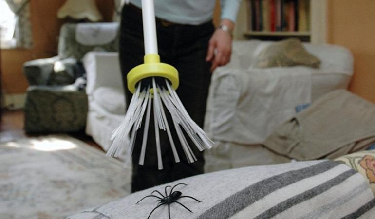 Що означає вбити павука у сні: до чого сниться величезне чорне павукоподібну, що означає вбивати павучка рукою