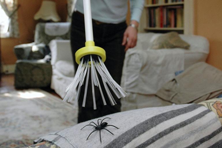 Що означає вбити павука у сні: до чого сниться величезне чорне павукоподібну, що означає вбивати павучка рукою