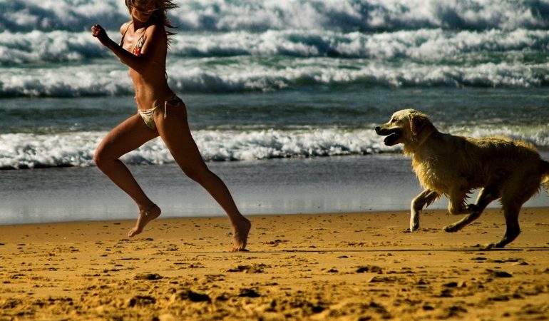 Що значить тікати від собаки уві сні: тлумачення для жінки та дівчата, якщо переслідує великий і злий пес