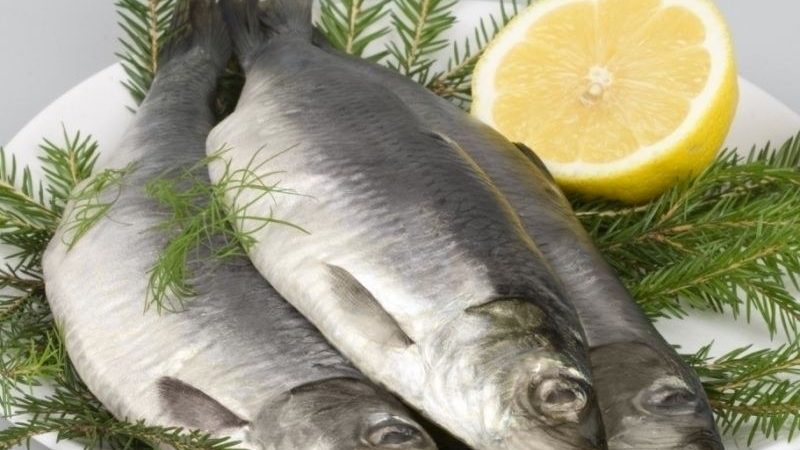 Що значить, якщо приснилася оселедець: тлумачення