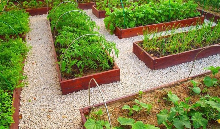 Ситуація, коли сняться грядки в городі: позначення сонники, що саме бачить людина і чому приснилося