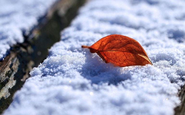Сниться сніг восени: до чого він випадає з різних сонникам, значення для жінок і чоловіків